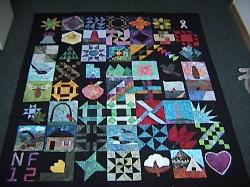 nifty fifty breast cancer charity quilt
